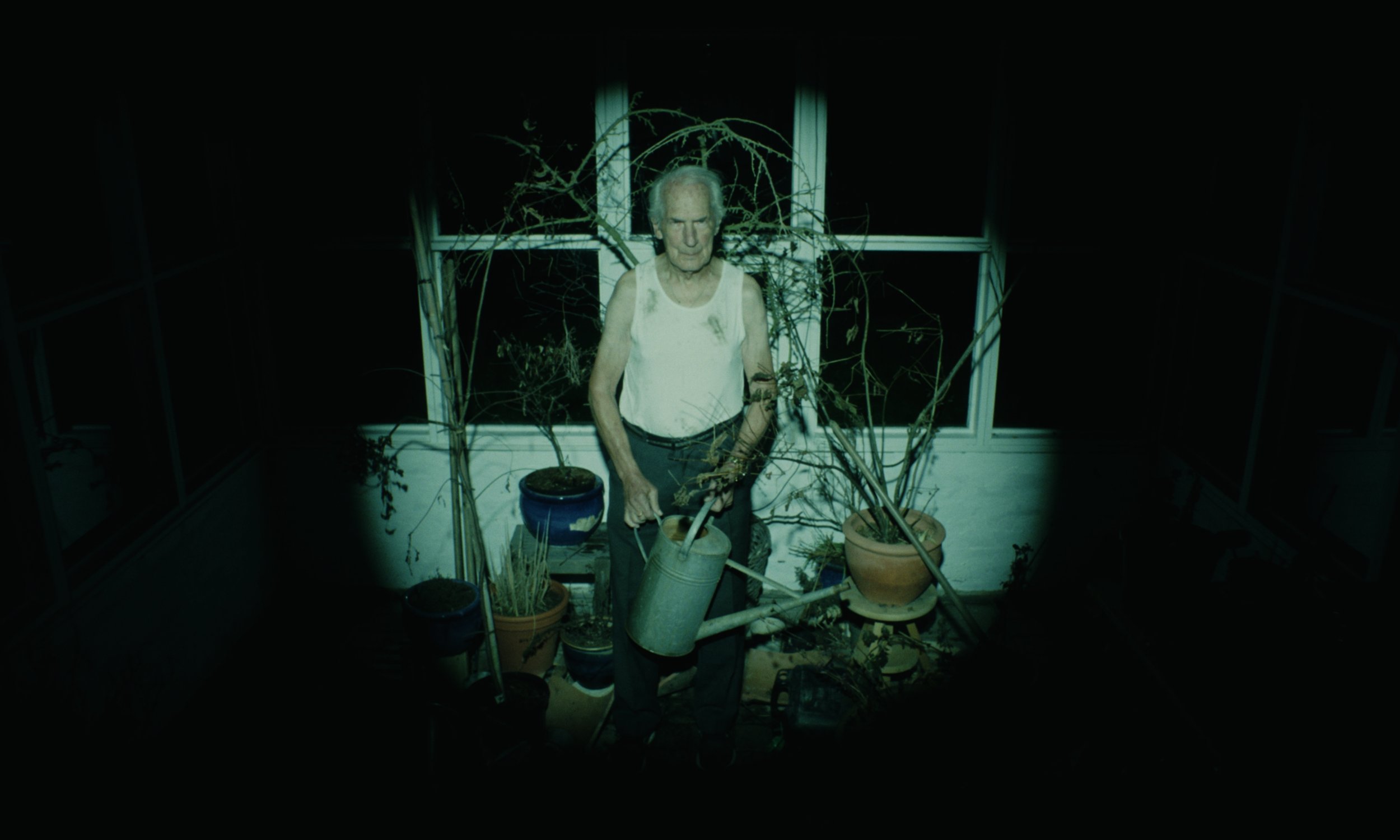 Tree's don't grow into heaven - Short film (2024) — project still
