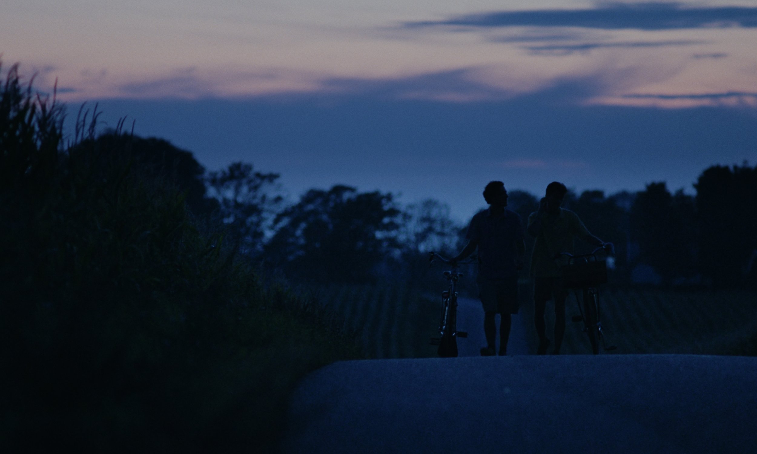 Tree's don't grow into heaven - Short film (2024) — project still