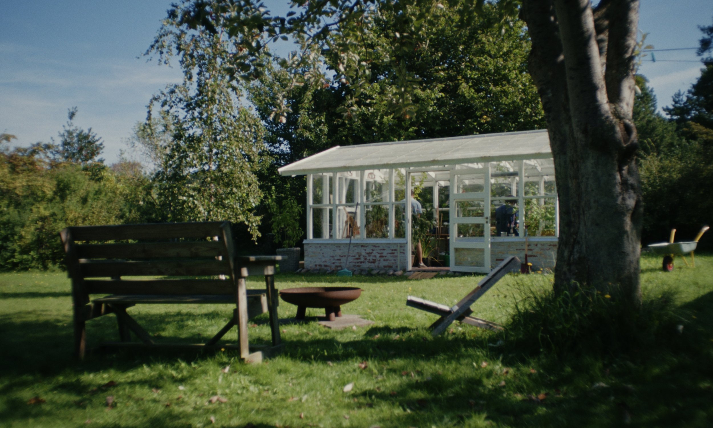 Tree's don't grow into heaven - Short film (2024) — project still