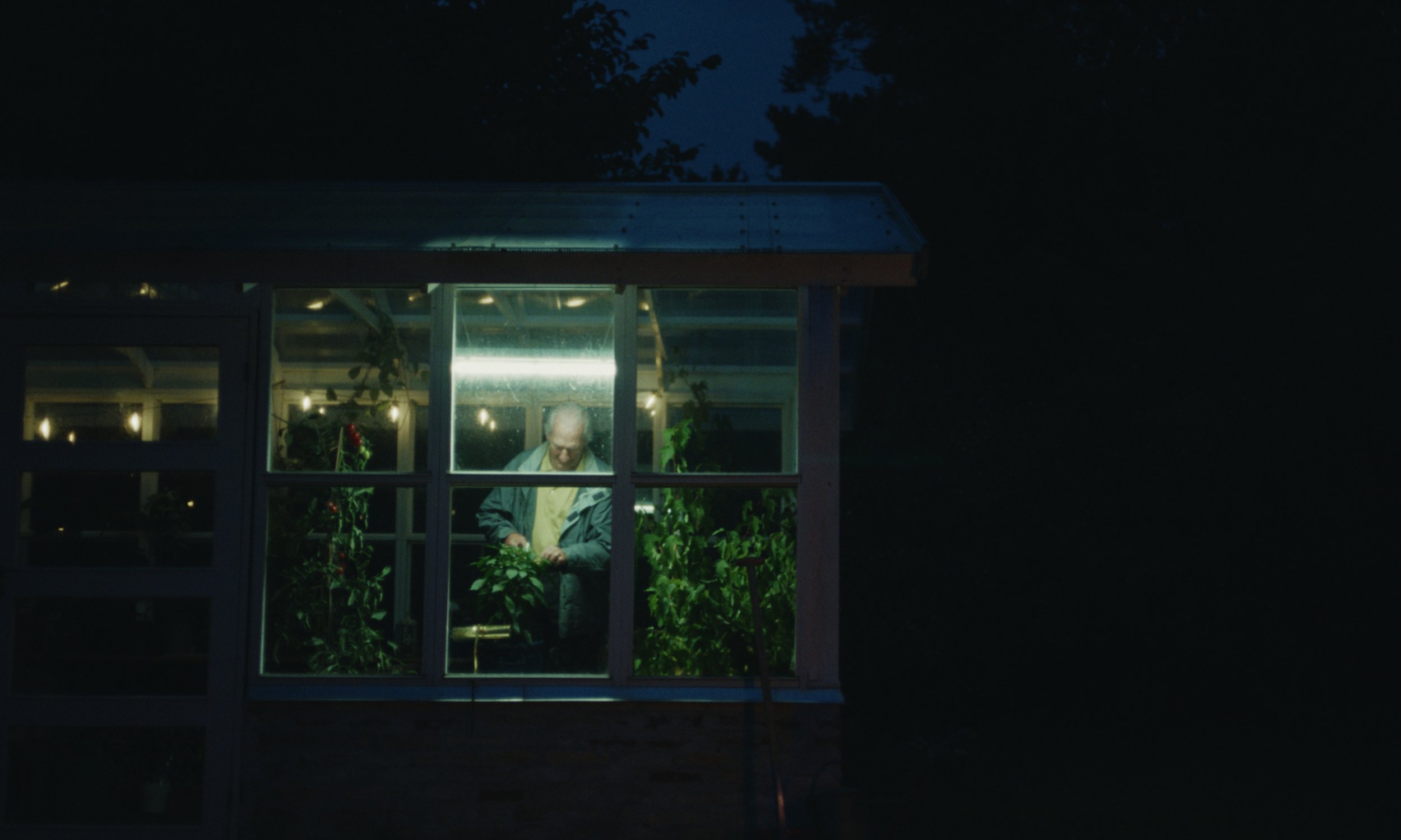 Tree's don't grow into heaven - Short film (2024) — project still